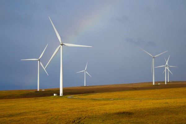 Eco friendly energy wind turbines in field next to rainbow